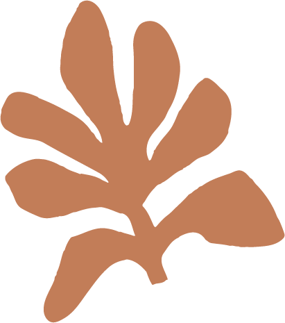 Terracotta Leaf